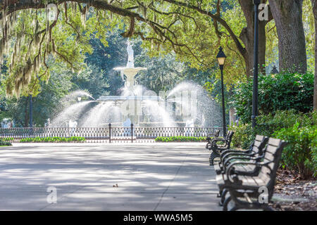 Forsyth Park, Savannah, Georgia, USA Brunnen am Nachmittag. Stockfoto