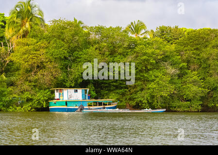 Costa Rica, typisches Haus am Fluss, in Tortuguero, Tierwelt im Mangrove Stockfoto