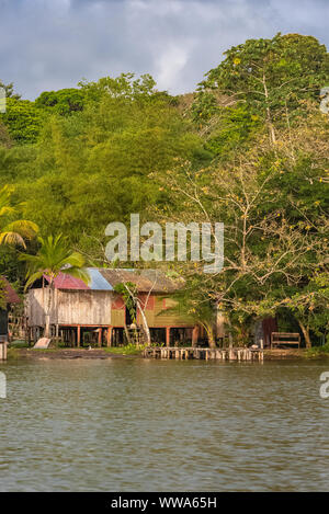 Costa Rica, typisches Haus am Fluss, in Tortuguero, Tierwelt im Mangrove Stockfoto