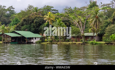 Costa Rica, typisches Haus am Fluss, in Tortuguero, Tierwelt im Mangrove Stockfoto