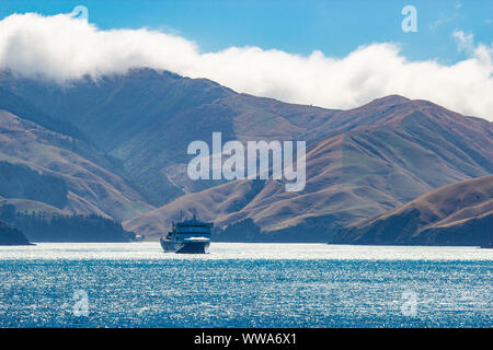 Blick von der Interislander Fähre zwischen Nord- und Südinsel von Neuseeland Stockfoto