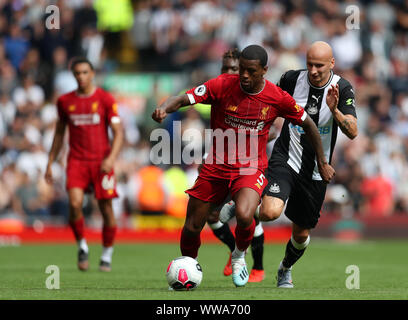 Liverpool, Merseyside, UK. 14 Sep, 2019. ; Anfield, Liverpool, Merseyside, England; Fußball der englischen Premier League, Liverpool gegen Newcastle United; Georginio Wijnaldum von Liverpool steuert den Ball unter Druck von Jonjo Shelvey des Newcastle United - Streng redaktionelle Verwendung. Keine Verwendung mit nicht autorisierten Audio-, Video-, Daten-, Spielpläne, Verein/liga Logos oder "live" Dienstleistungen. On-line-in-Match mit 120 Bildern beschränkt, kein Video-Emulation. Keine Verwendung in Wetten, Spiele oder einzelne Verein/Liga/player Publikationen Quelle: Aktion Plus Sport Bilder/Alamy Live News Credit: Aktion Plus Sport Bild Stockfoto