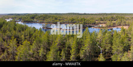 Panorama Ansicht eines mit kleinen Seen bog bei Tageslicht in Pärnu County, Estland Stockfoto