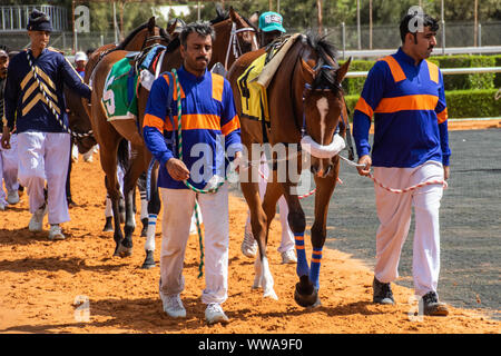 Pferd Racig im King Khalid Rennstrecke, Taif, Saudi-Arabien, 21/06/2019 Stockfoto