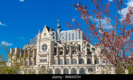 Paris, die Kirche Saint-Eustache im Frühling, mit einem Kirschbaum Stockfoto