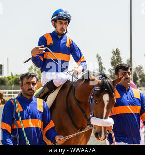 Pferd Racig im King Khalid Rennstrecke, Taif, Saudi-Arabien, 21/06/2019 Stockfoto