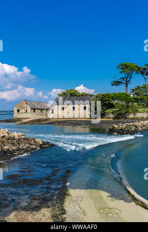 Berder Island, in der Bretagne, im Golf von Morbihan, Pfad durch das Meer bei Flut bedeckt Stockfoto