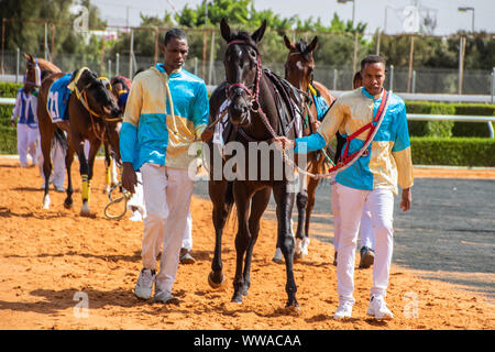 Pferd Racig im King Khalid Rennstrecke, Taif, Saudi-Arabien, 21/06/2019 Stockfoto