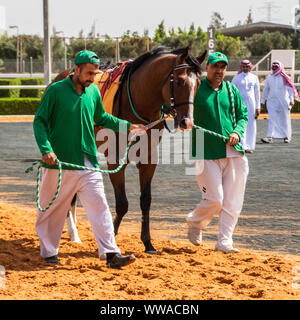 Pferd Racig im King Khalid Rennstrecke, Taif, Saudi-Arabien, 21/06/2019 Stockfoto