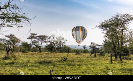 Heißluftballon über der Savanne in der Serengeti in Tansania buchen bei Sonnenaufgang, Afrikanische Panorama Stockfoto