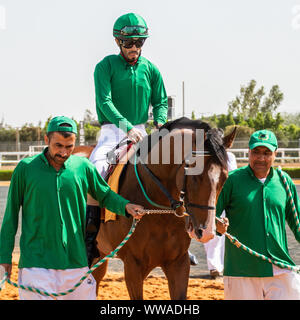 Pferd Racig im King Khalid Rennstrecke, Taif, Saudi-Arabien, 21/06/2019 Stockfoto