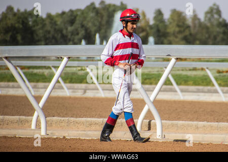 Pferd Racig im King Khalid Rennstrecke, Taif, Saudi-Arabien, 21/06/2019 Stockfoto