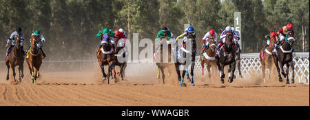 Pferd Racig im King Khalid Rennstrecke, Taif, Saudi-Arabien, 21/06/2019 Stockfoto