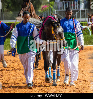 Pferd Racig im King Khalid Rennstrecke, Taif, Saudi-Arabien, 21/06/2019 Stockfoto