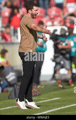 Mainz, Deutschland. 14 Sep, 2019. Fussball: Bundesliga, FSV Mainz 05 - Hertha BSC, 4. Spieltag im Opel Arena. Mainz Trainer Sandro Schwarz. Quelle: Thomas Frey/dpa - WICHTIGER HINWEIS: In Übereinstimmung mit den Anforderungen der DFL Deutsche Fußball Liga oder der DFB Deutscher Fußball-Bund ist es untersagt, zu verwenden oder verwendet Fotos im Stadion und/oder das Spiel in Form von Bildern und/oder Videos - wie Foto Sequenzen getroffen haben./dpa/Alamy leben Nachrichten Stockfoto