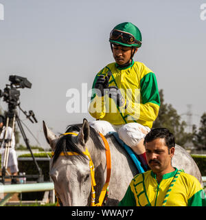 Pferd Racig im King Khalid Rennstrecke, Taif, Saudi-Arabien, 21/06/2019 Stockfoto