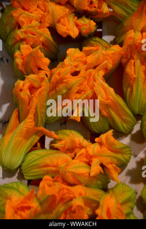 Genießbare Zucchini Zucchini (Squash) Blumen auf Anzeige in Provinzmarkt von überdachten Markt, Cannes, Frankreich, EU Stockfoto