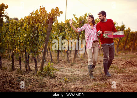 Schönes junges Paar mit Trauben im Weinberg Stockfoto