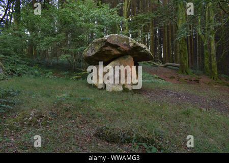 Gwal y Filiast, Grabkammer, Carmarthenshire, Wales Stockfoto