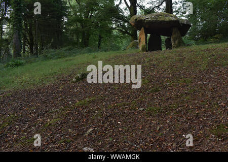 Gwal y Filiast, Grabkammer, Carmarthenshire, Wales Stockfoto