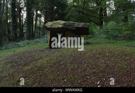 Gwal y Filiast, Grabkammer, Carmarthenshire, Wales Stockfoto