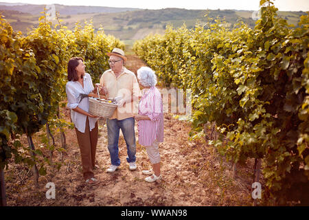 Weinlese - Ältere Winzer mit lächelnden Tochter im Weinberg Stockfoto
