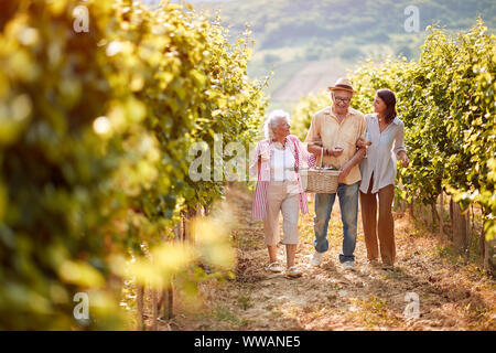 Happy Family wandern in zwischen den Reihen von Reben zusammen Stockfoto