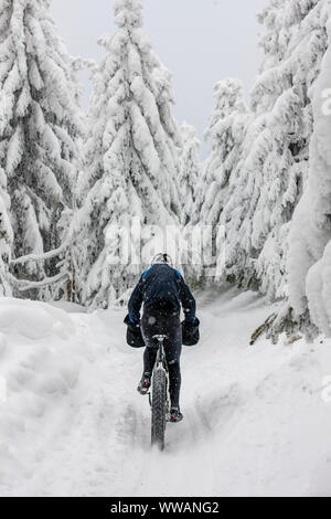 Mann auf Mountainbike folgt Trail durch den Wald im Schnee im Winter Stockfoto