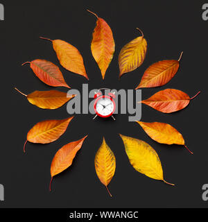 Kreative Herbst Blumen Laub und roten Wecker Stockfoto
