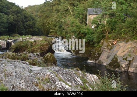 Cenarth fällt, Carmarthenshire, Wales Stockfoto