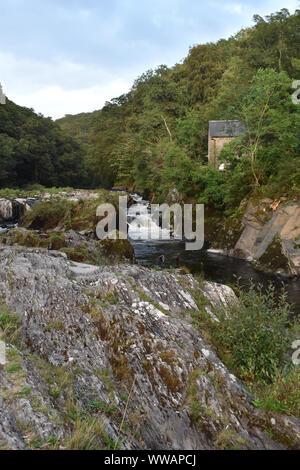 Cenarth fällt, Carmarthenshire, Wales Stockfoto