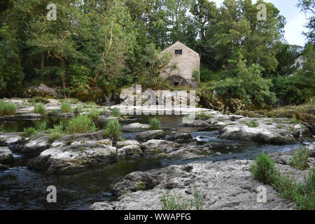 Cenarth fällt, Carmarthenshire, Wales Stockfoto