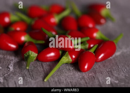Frische red hot chili peppers Stockfoto