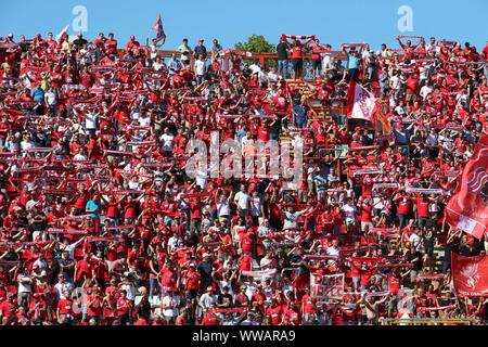 Perugia, Italien. 14 Sep, 2019. FANS in Perugia Perugia Vs Juve Stabia - Italienische Fußball-Serie B Männer Meisterschaft - Credit: LPS/Loris Cerquiglini/Alamy leben Nachrichten Stockfoto