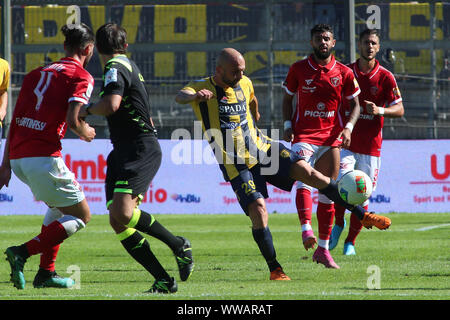 Perugia, Italien. 14 Sep, 2019. MASSIMILIANO CARLINI während Perugia Vs Juve Stabia - Italienische Fußball-Serie B Männer Meisterschaft - Credit: LPS/Loris Cerquiglini/Alamy leben Nachrichten Stockfoto