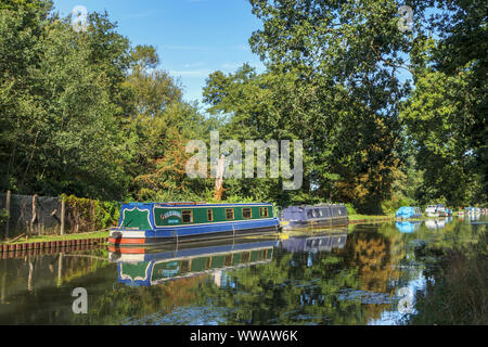 Boote am Ufer des River Wey, wie es der Basingstoke Canal zwischen Weybridge und New Haw, Surrey, Südosten, England, Grossbritannien verbindet Stockfoto