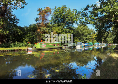 Boote am Ufer des River Wey, wie es der Basingstoke Canal zwischen Weybridge und New Haw, Surrey, Südosten, England, Grossbritannien verbindet Stockfoto