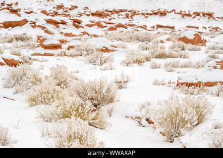 Frischen Schnee auf den Hoodoos im Goblin Valley, Goblin Valley State Park, Utah, USA Stockfoto