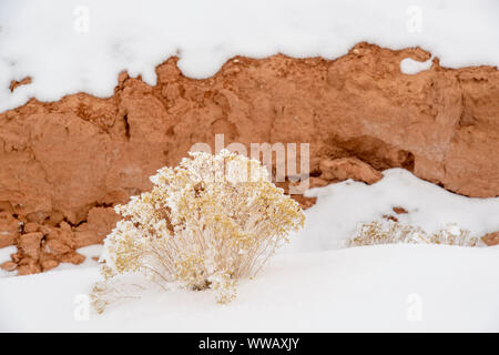 Frischen Schnee auf den Hoodoos im Goblin Valley, Goblin Valley State Park, Utah, USA Stockfoto