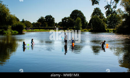 Fordingbridge, New Forest. Hampshire, Großbritannien. 14. September 2019. Herrliches sommerliches Wetter Mitte September mit einem ganzen Tag Sonne und warmen Temperaturen. Eine Gruppe beaufsichtigter Kinder versucht, mit bunten Fischernetzen am Ende der Zuckerstangen Zittelfische im Fluss Avon zu fangen. Stockfoto