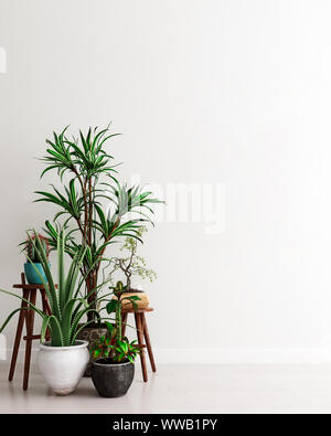 Mock up Wall mit einer Gruppe von Topfpflanzen Zimmerpflanzen in modernen Interieur Hintergrund, Moment der Besinnung, skandinavischen Stil, 3D-Rendering, 3D-Darstellung Stockfoto