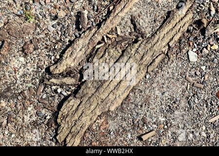 Detailansicht auf Asphalt Oberflächen von verschiedenen Straßen und Wege in einer Nahaufnahme Stockfoto