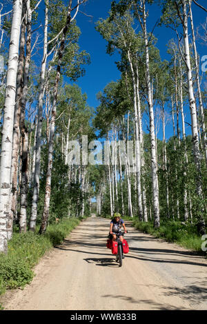 WY 03872-00 ... WYOMING - Vicky Feder Radfahren durch Aspen Alley in der Medizin Bug National Forest, Carbon County. Entlang der Great Divide Mountain Bi Stockfoto