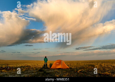 WY 03882-00 ... WYOMING - Sonnenaufgang an einem camosite im großen Becken Teilen entlang der Großen Mountainbike Route teilen. Herr #S1 Stockfoto