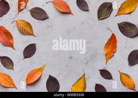 Herbst runden Rahmen aus farbigem Laub auf Grau Stockfoto