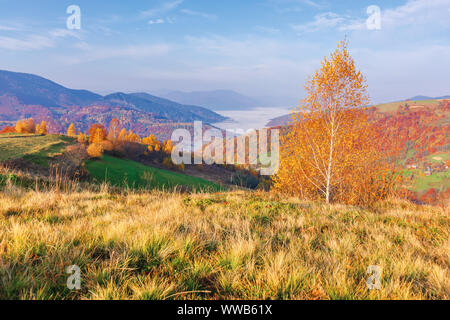 Schönen Herbst Landschaft bei Sonnenaufgang. Bäume im Herbst Farben auf einer grünen Wiese im Morgenlicht. Tal voller Nebel am Fuße des entfernten Ridge Stockfoto