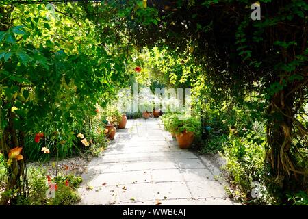 Gepflasterten Garten weg mit schweren, Laub, bunt blühenden Blumen und Schatten. Parc Floral de Paris, Frankreich Stockfoto