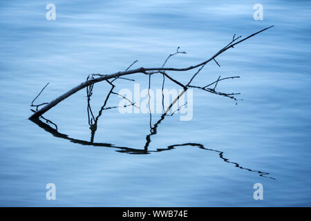 Intime Detail auf Jordanien Teich in Acadia Nationalpark Stockfoto