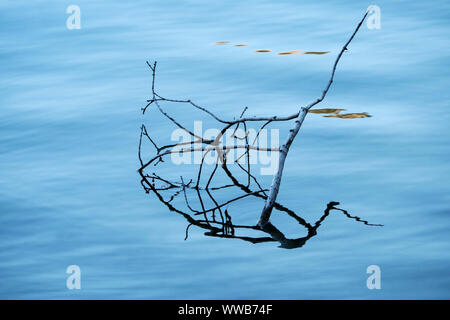 Intime Detail auf Jordanien Teich in Acadia Nationalpark Stockfoto