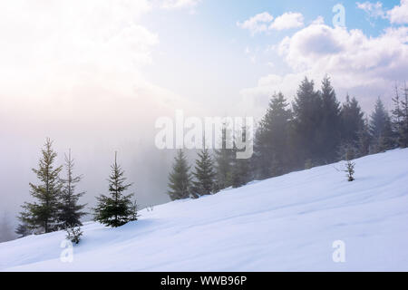 Wald am Morgen Fichte. Herrliche Winterlandschaft bei Nebel. Bäume auf einem schneebedeckten Hang Wiese. flauschige Wolken am blauen Himmel. myster Stockfoto